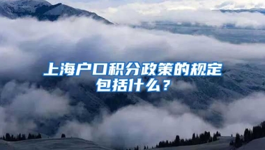 上海户口积分政策的规定包括什么？