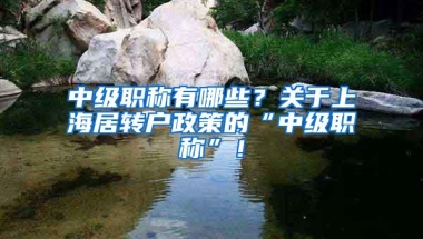 中级职称有哪些？关于上海居转户政策的“中级职称”！