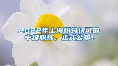 2022年上海积分认可的中级职称，正式公布！