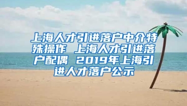 上海人才引进落户中介特殊操作 上海人才引进落户配偶 2019年上海引进人才落户公示