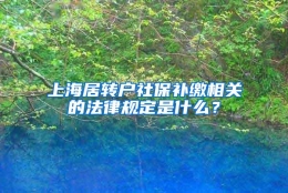 上海居转户社保补缴相关的法律规定是什么？