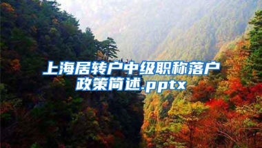 上海居转户中级职称落户政策简述.pptx