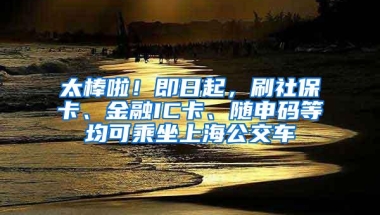 太棒啦！即日起，刷社保卡、金融IC卡、随申码等均可乘坐上海公交车