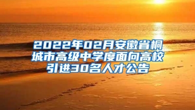 2022年02月安徽省桐城市高级中学度面向高校引进30名人才公告