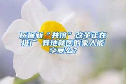 医保新“共济”改革正在推广 异地就医的家人能享受么？