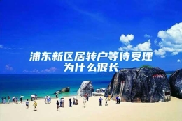 浦东新区居转户等待受理为什么很长