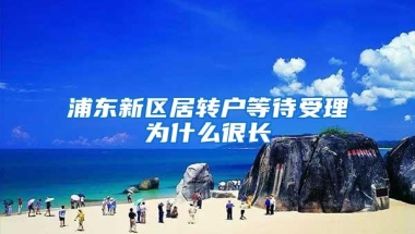 浦东新区居转户等待受理为什么很长