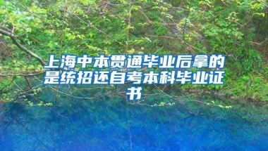 上海中本贯通毕业后拿的是统招还自考本科毕业证书