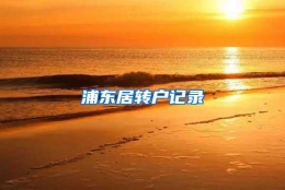 浦东居转户记录