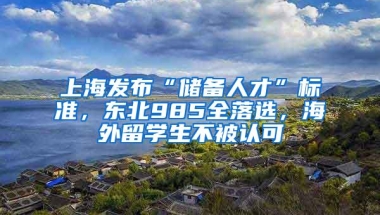 上海发布“储备人才”标准，东北985全落选，海外留学生不被认可