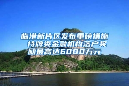 临港新片区发布重磅措施 持牌类金融机构落户奖励最高达6000万元