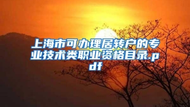 上海市可办理居转户的专业技术类职业资格目录.pdf