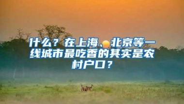 什么？在上海、北京等一线城市最吃香的其实是农村户口？