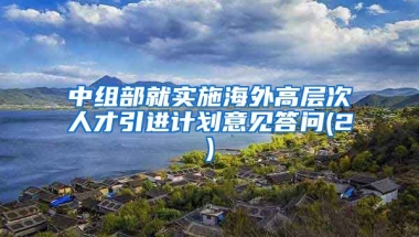 中组部就实施海外高层次人才引进计划意见答问(2)