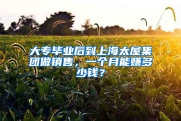 大专毕业后到上海太屋集团做销售，一个月能赚多少钱？