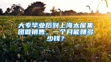 大专毕业后到上海太屋集团做销售，一个月能赚多少钱？