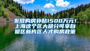 发放购房补贴1500万元！上海这个区大部分可享自贸区新片区人才购房政策