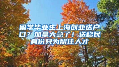 留学毕业生上海创业送户口？加拿大急了！送移民身份只为留住人才