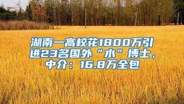 湖南一高校花1800万引进23名国外“水”博士，中介：16.8万全包