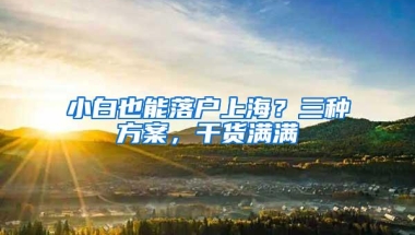 小白也能落户上海？三种方案，干货满满