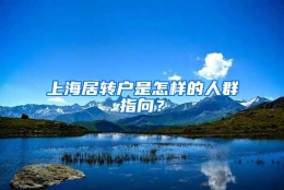 上海居转户是怎样的人群指向？