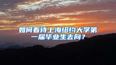 如何看待上海纽约大学第一届毕业生去向？