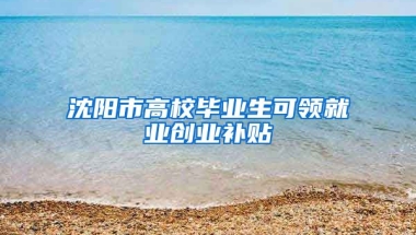 沈阳市高校毕业生可领就业创业补贴