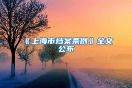 《上海市档案条例》全文公布