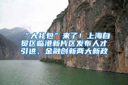 “大礼包”来了！上海自贸区临港新片区发布人才引进、金融创新两大新政