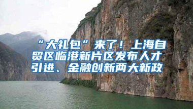 “大礼包”来了！上海自贸区临港新片区发布人才引进、金融创新两大新政