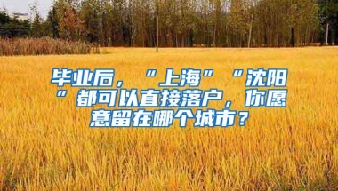 毕业后，“上海”“沈阳”都可以直接落户，你愿意留在哪个城市？