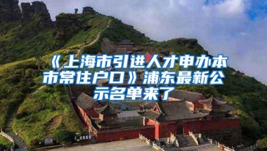 《上海市引进人才申办本市常住户口》浦东最新公示名单来了