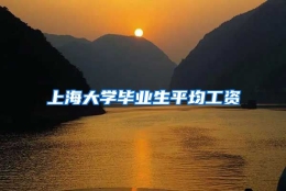 上海大学毕业生平均工资