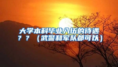 大学本科毕业入伍的待遇？？（武警和军队都可以）