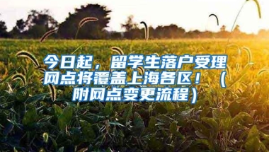 今日起，留学生落户受理网点将覆盖上海各区！（附网点变更流程）