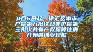 4月6日起，徐汇区本市户籍第九批次和非沪籍第三批次共有产权保障住房开始咨询受理啦