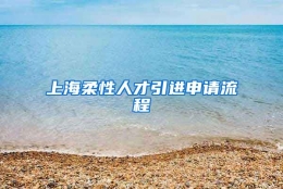 上海柔性人才引进申请流程