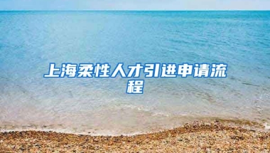 上海柔性人才引进申请流程