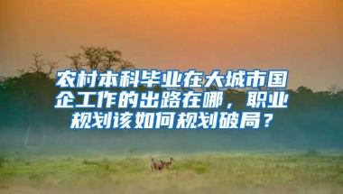 农村本科毕业在大城市国企工作的出路在哪，职业规划该如何规划破局？