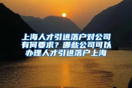 上海人才引进落户对公司有何要求？哪些公司可以办理人才引进落户上海