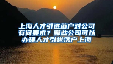 上海人才引进落户对公司有何要求？哪些公司可以办理人才引进落户上海