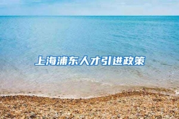 上海浦东人才引进政策