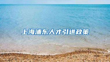 上海浦东人才引进政策