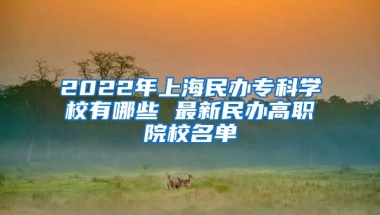 2022年上海民办专科学校有哪些 最新民办高职院校名单