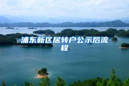 浦东新区居转户公示后流程