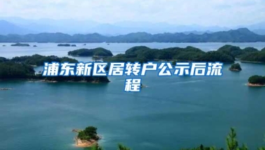 浦东新区居转户公示后流程