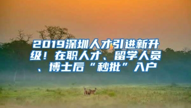 2019深圳人才引进新升级！在职人才、留学人员、博士后“秒批”入户