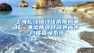 上海松江探讨住房限购审核：派出所可开放外省市户籍查询系统