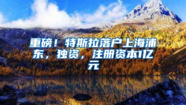 重磅！特斯拉落户上海浦东，独资，注册资本1亿元