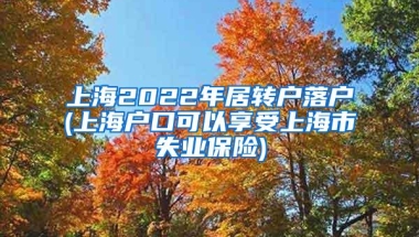 上海2022年居转户落户(上海户口可以享受上海市失业保险)